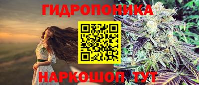 прущие крисы Кулебаки
