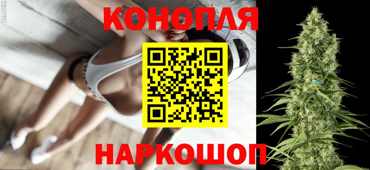 Бошки марихуана конопля  Конопля AK-47  МАРИХУАНА планчик  Заводоуковск  Вход с VPN 
